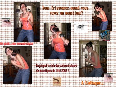 club des ext&eacute;rminateurs de moustiques